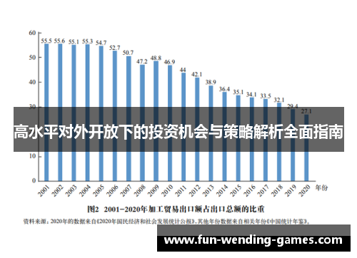 高水平对外开放下的投资机会与策略解析全面指南